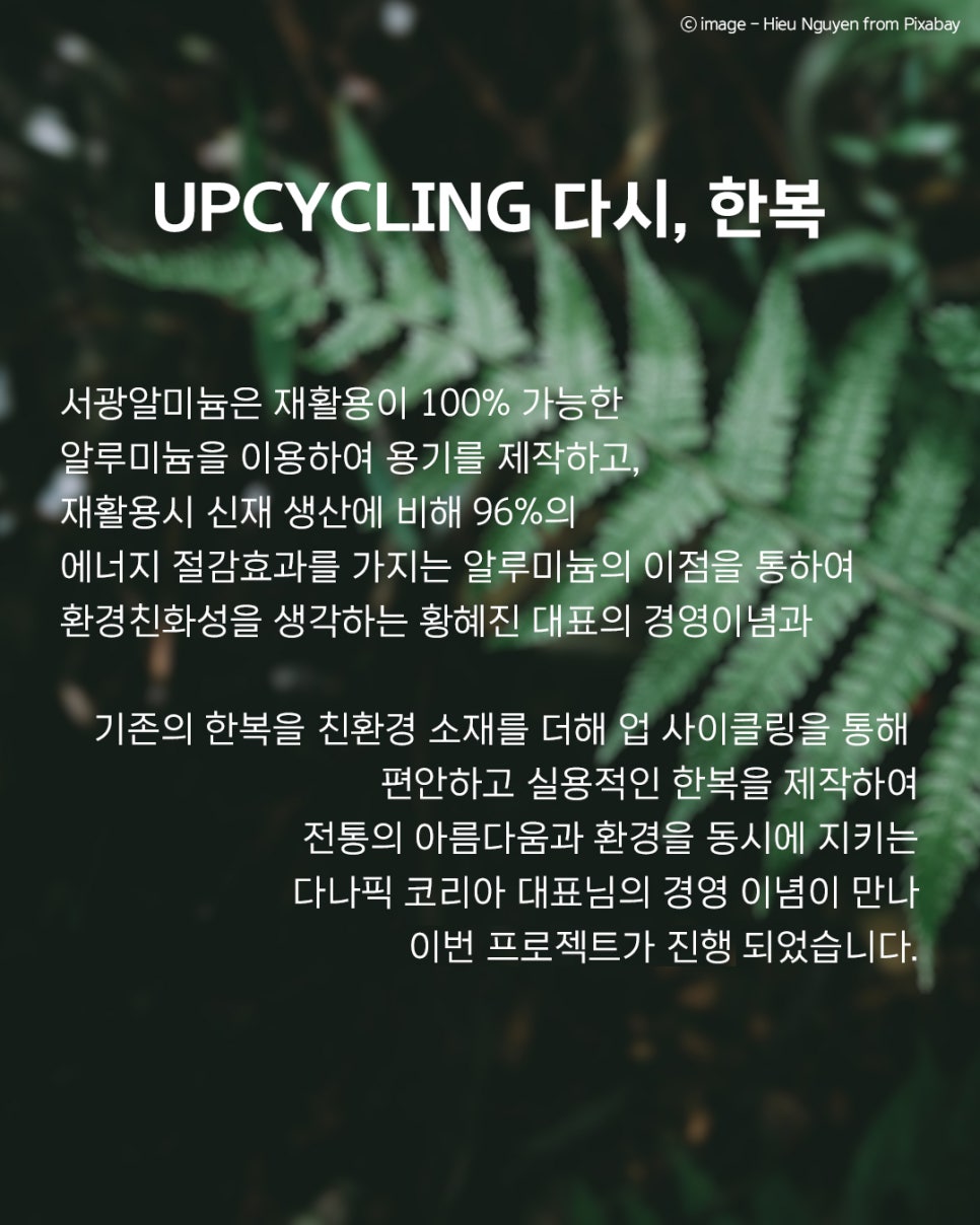 다나픽코리아 이미지