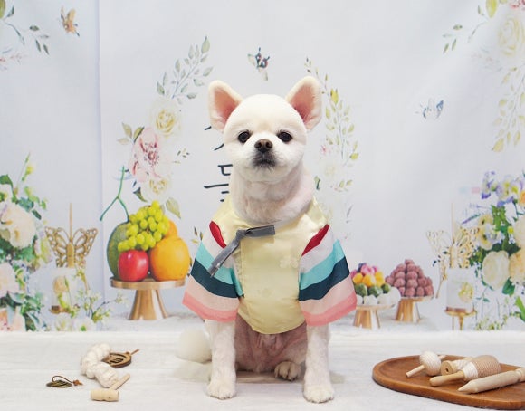 뭉치 이미지