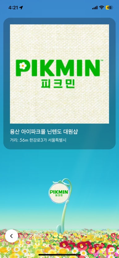 비자르플랫폼 이미지