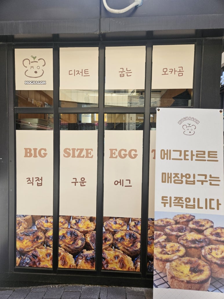 타르트곰 이미지