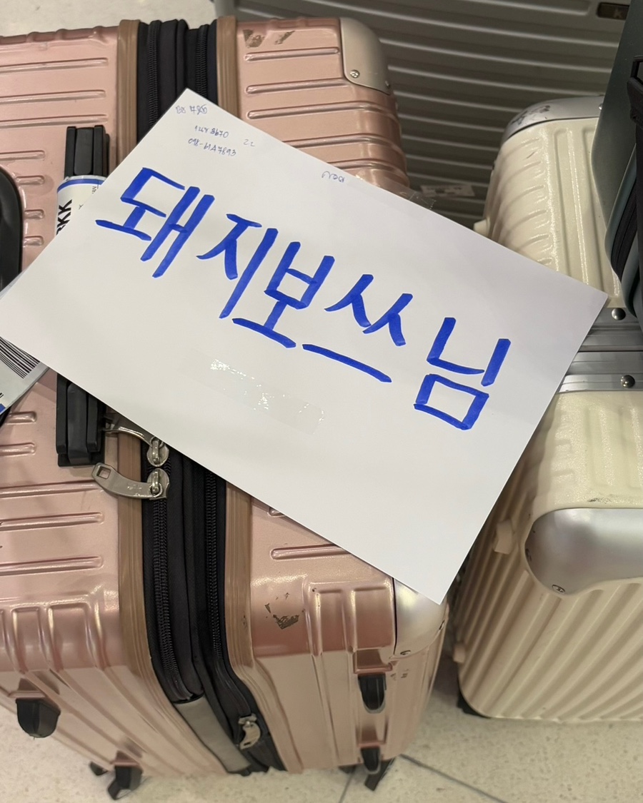 돼지보쓰 이미지