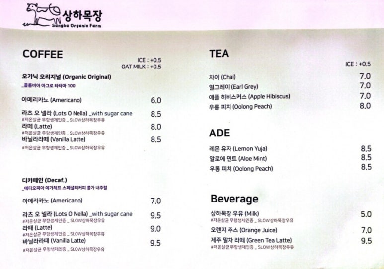 뉴욕라츠오베이글스 이미지