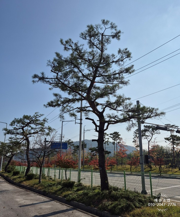 예솔조경 이미지