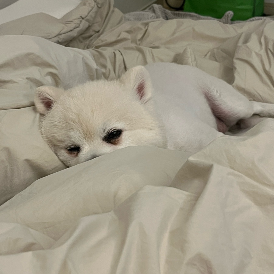 진성재활용 이미지