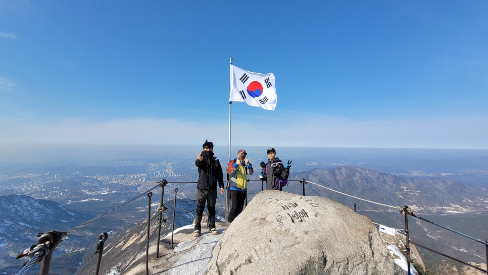 욜로종합관리 이미지