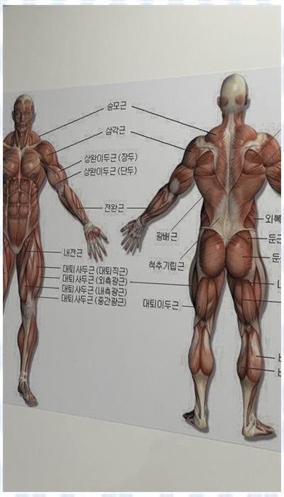 약손스포츠마사지 이미지