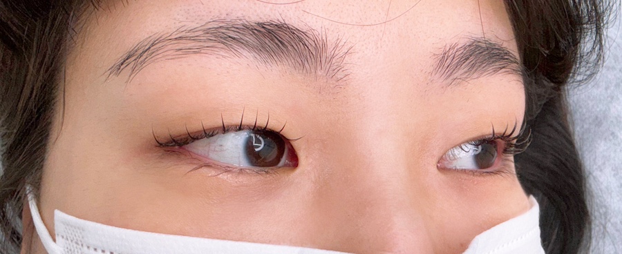 아리솜 이미지