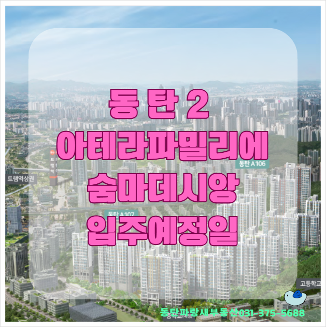 궁전라파 이미지