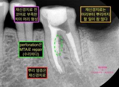예성치과의원 이미지