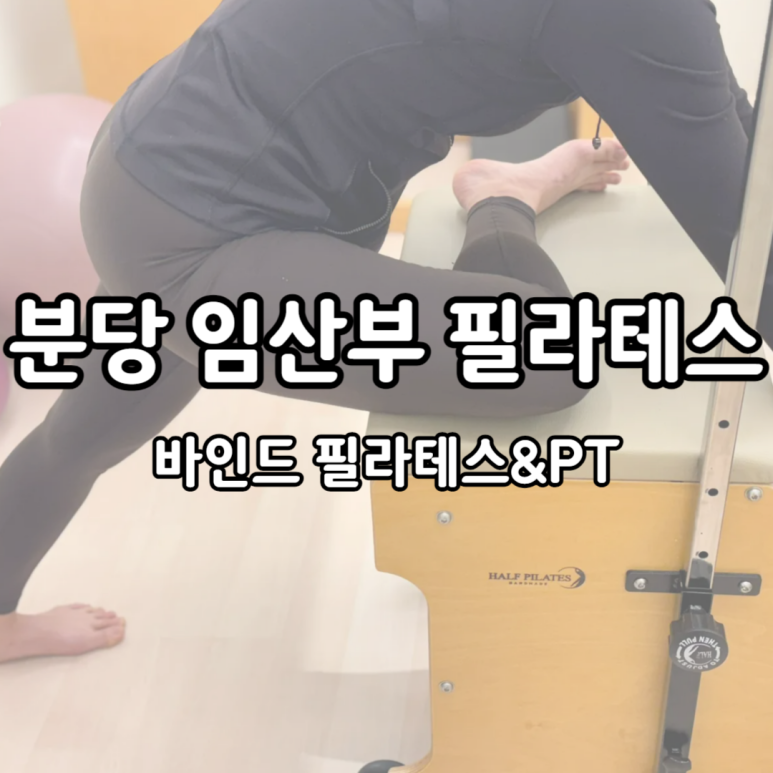바인드 필라테스 이미지