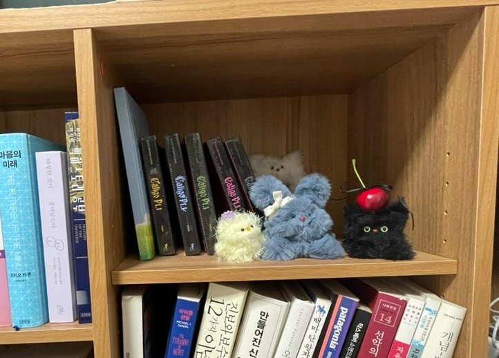 쿠존 이미지
