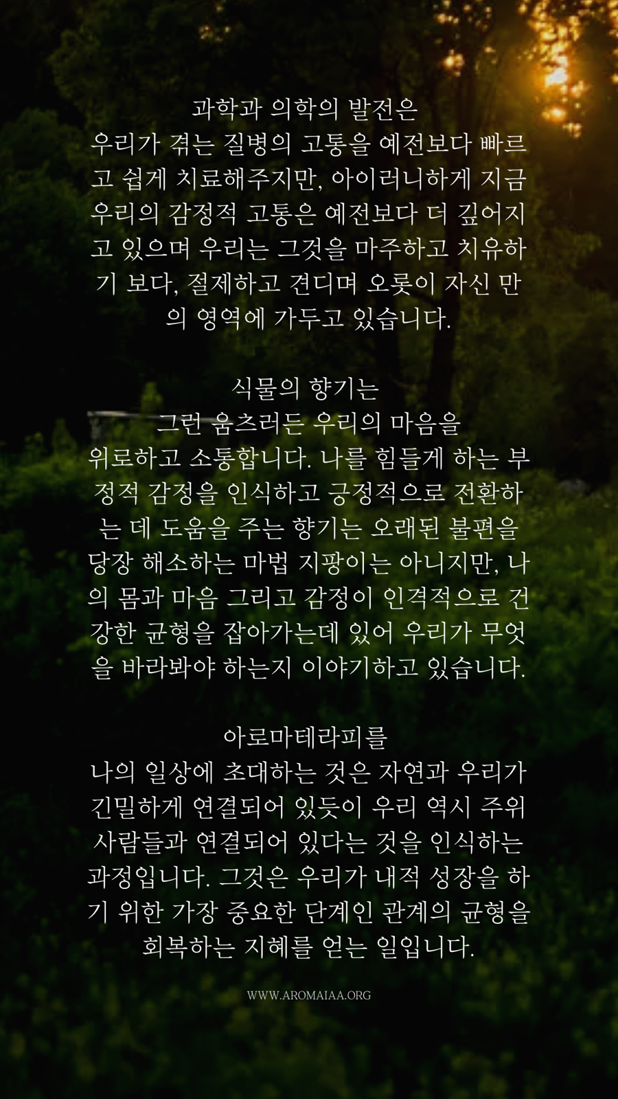 대운아로마 이미지