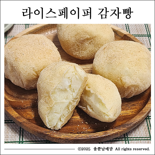 페이퍼피드 이미지