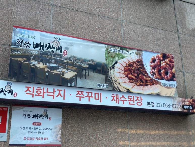 청담배짱이 이미지