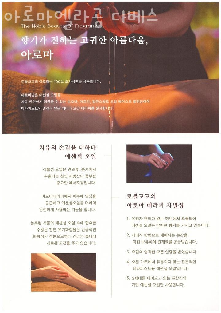 디베스 이미지