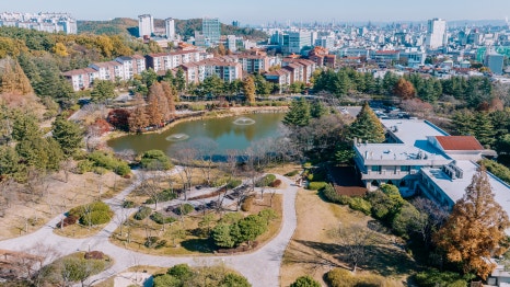 벨라셰나 이미지