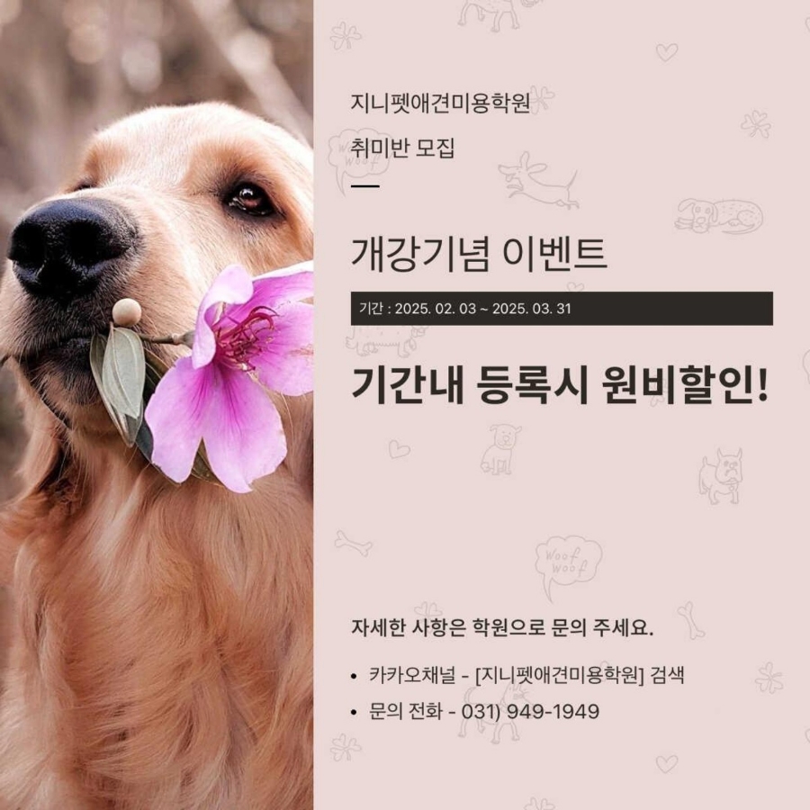 지니펫애견미용학원 이미지