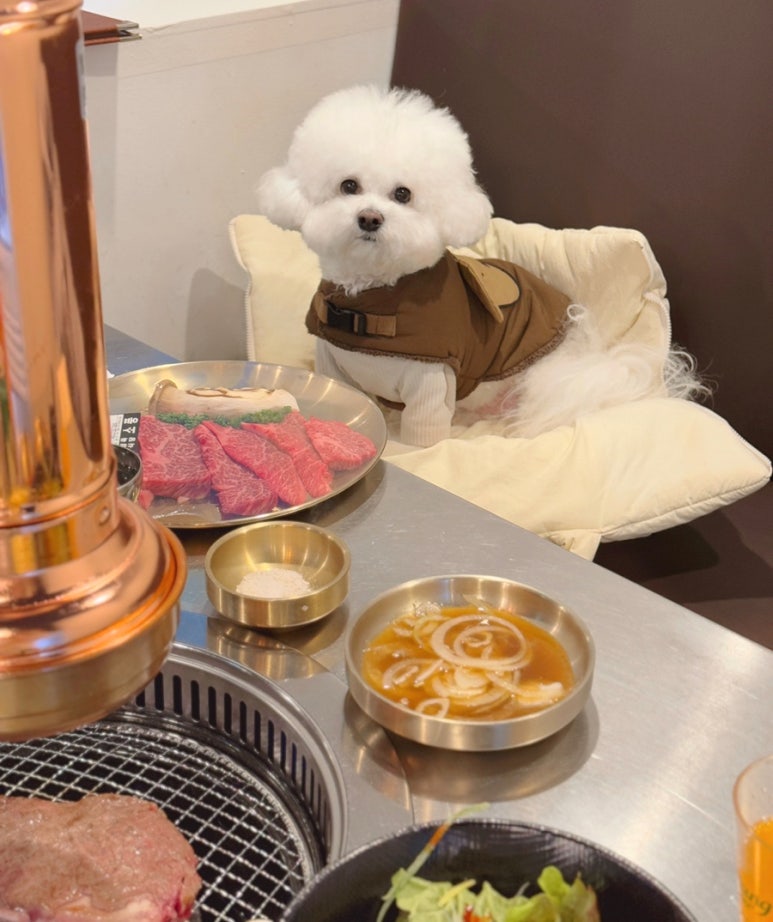 바른생고기정육점소풍정육식당 이미지