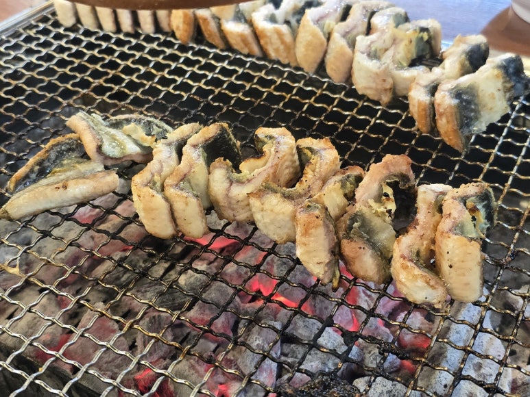 장어시대 이미지