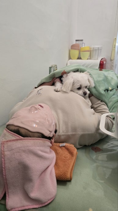 유미찌 이미지