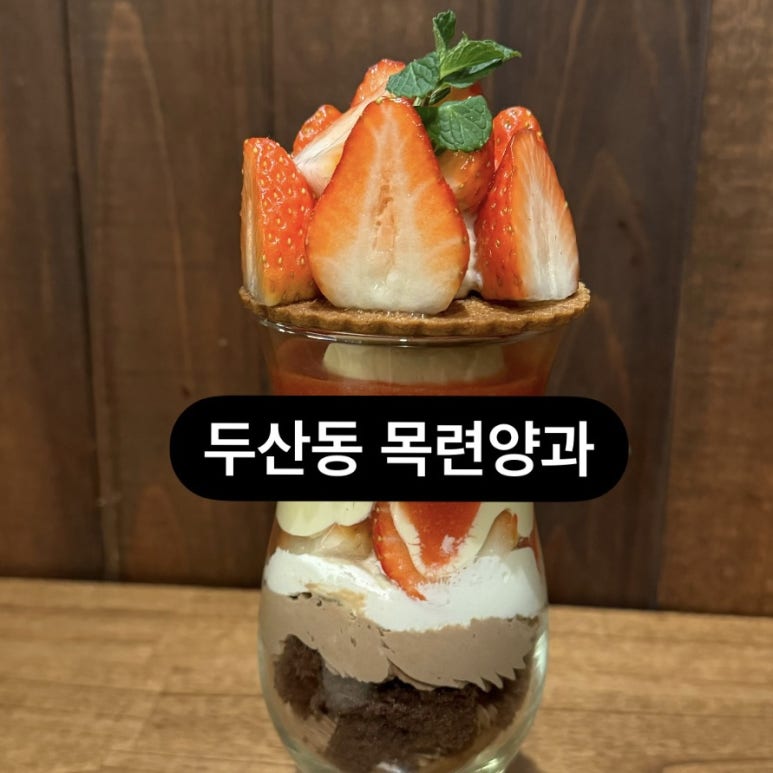 목련양과 이미지