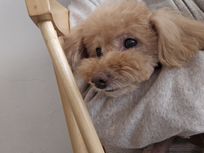 무진장카페 이미지