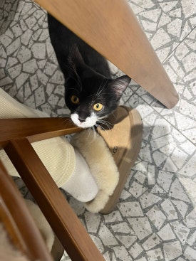 주문진백년횟집 이미지