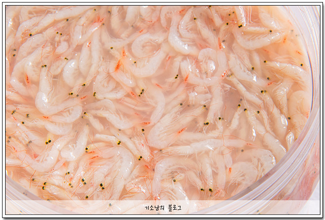 목포새우젓갈 이미지