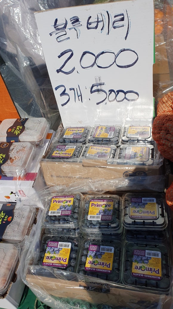 청춘청과 이미지