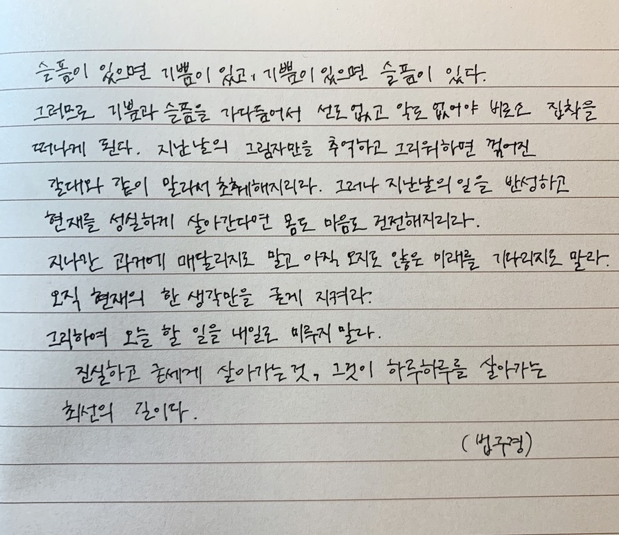 홍홍 이미지