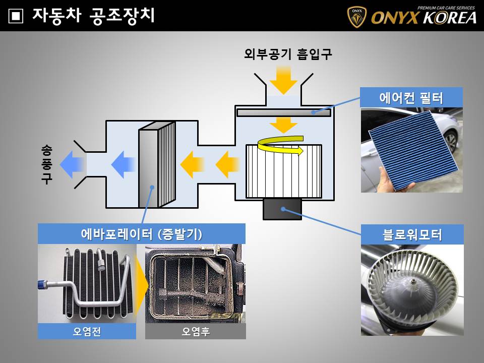진크리닝 이미지