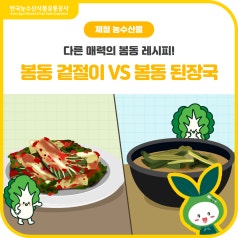 겨울 밥상의 꽃 [봄동], 봄동 겉절이 vs 봄동 된장국 여러분의 선택은?! 바로가기