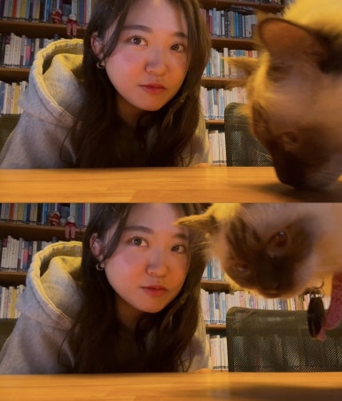 홀리데이민박 이미지