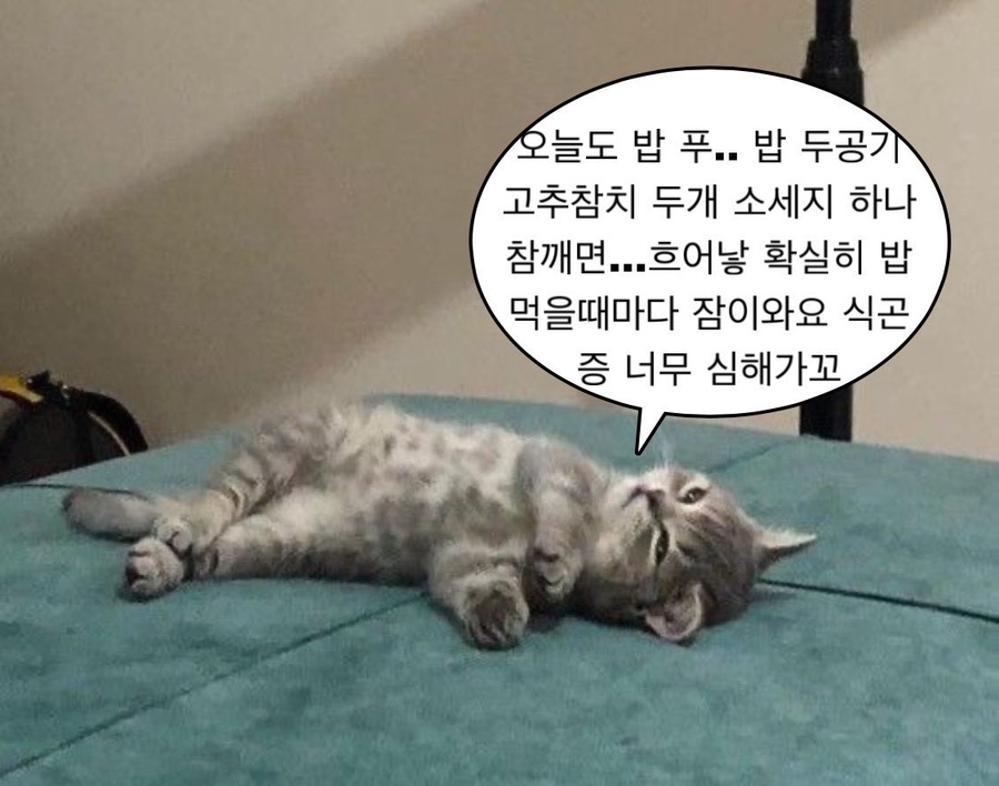 닭이봉닭갈비 이미지