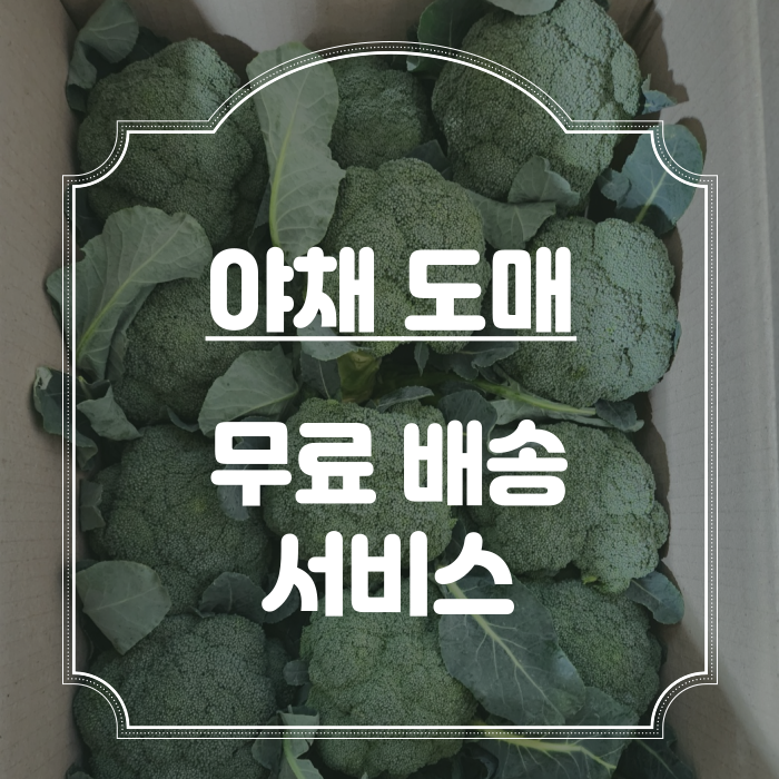 강동과일야채 이미지