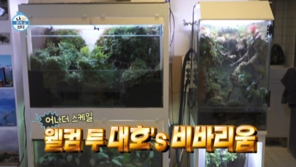 갤러리코쿤 이미지