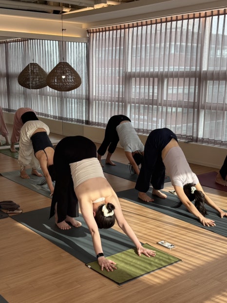 요가스테(YOGASTE) 이미지