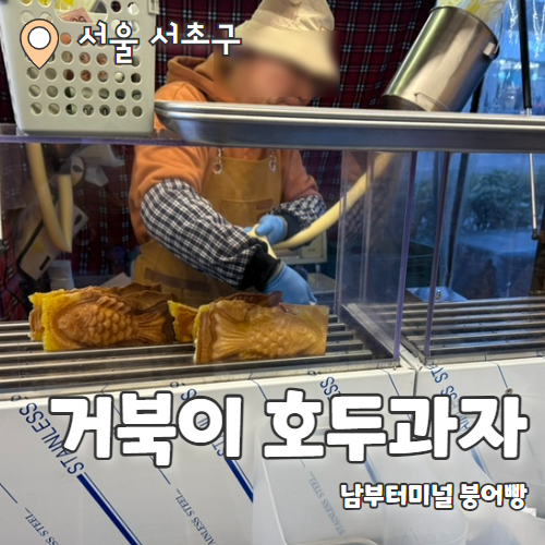 거북이 차과자 이미지