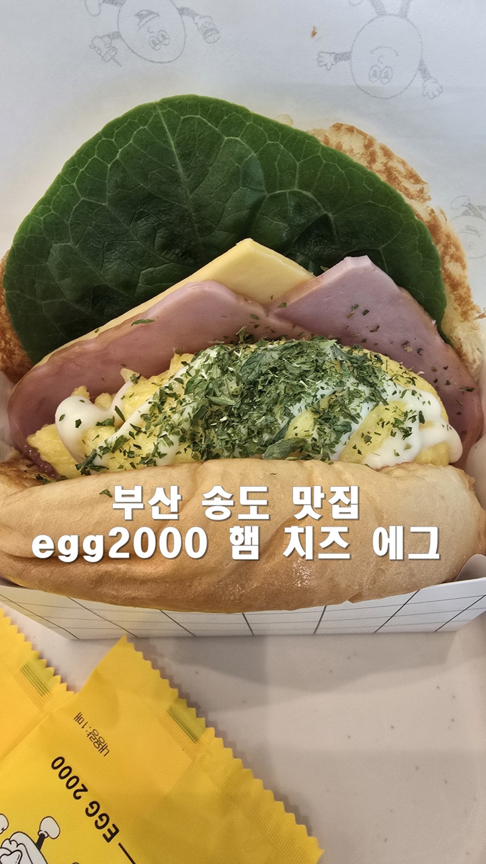 에그2000부산 이미지