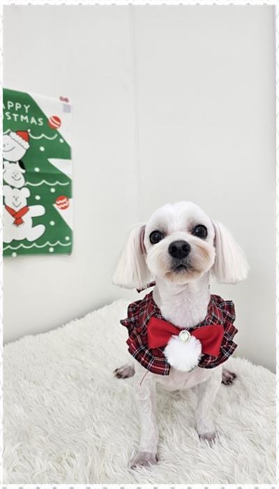 신세계미용 이미지