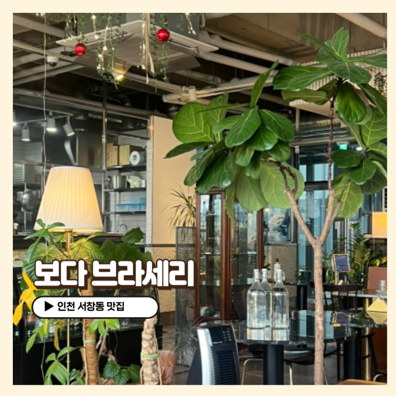 보다브라세리 이미지
