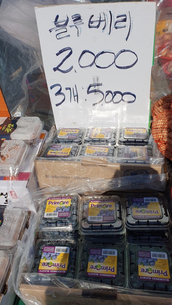 청춘청과 이미지