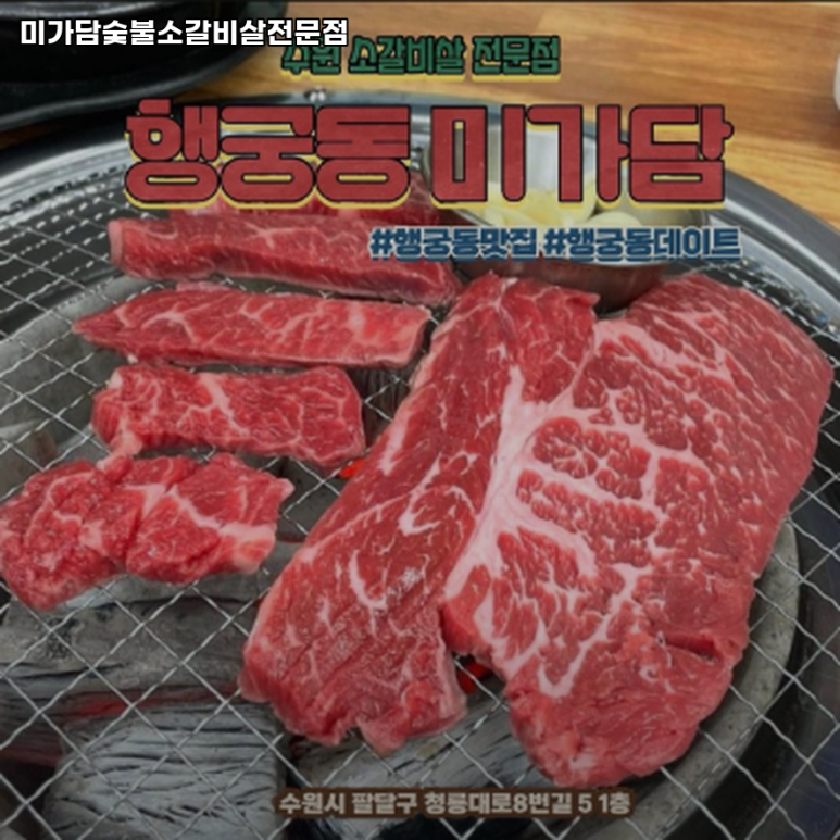 팔달고기 이미지