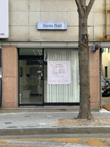 수이아 네일 이미지