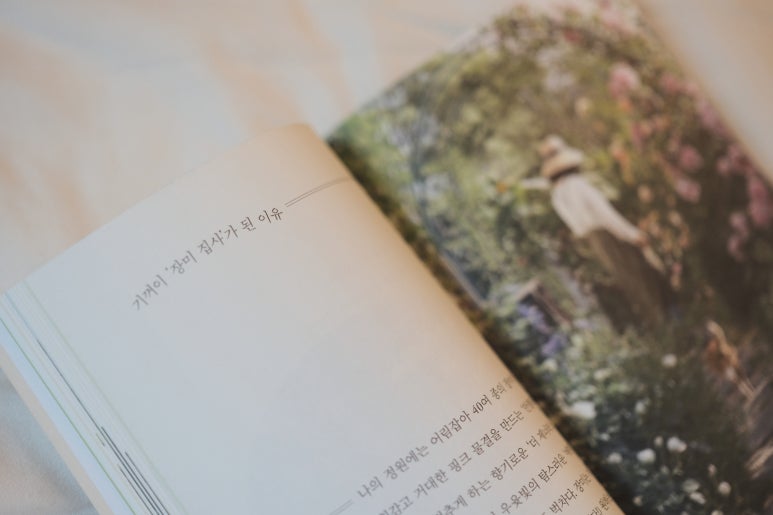 더초록 이미지