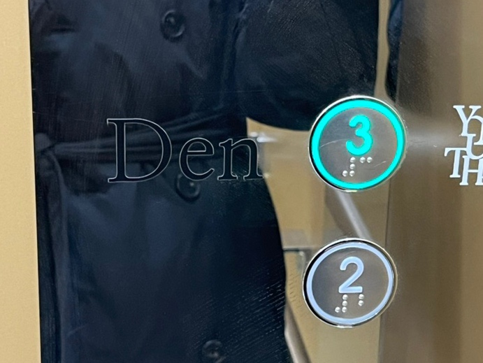 덴헤어 이미지