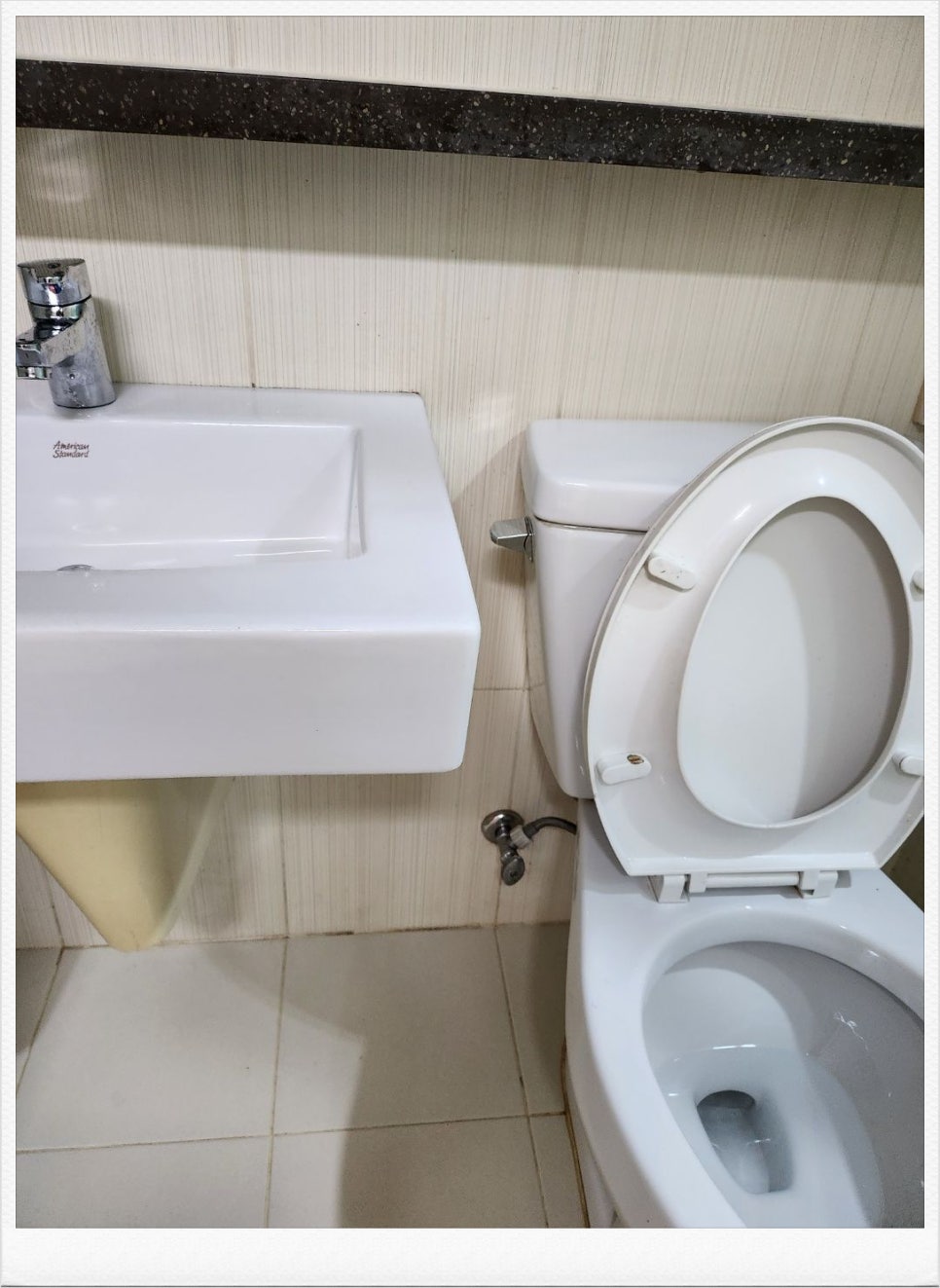 영토탈 이미지