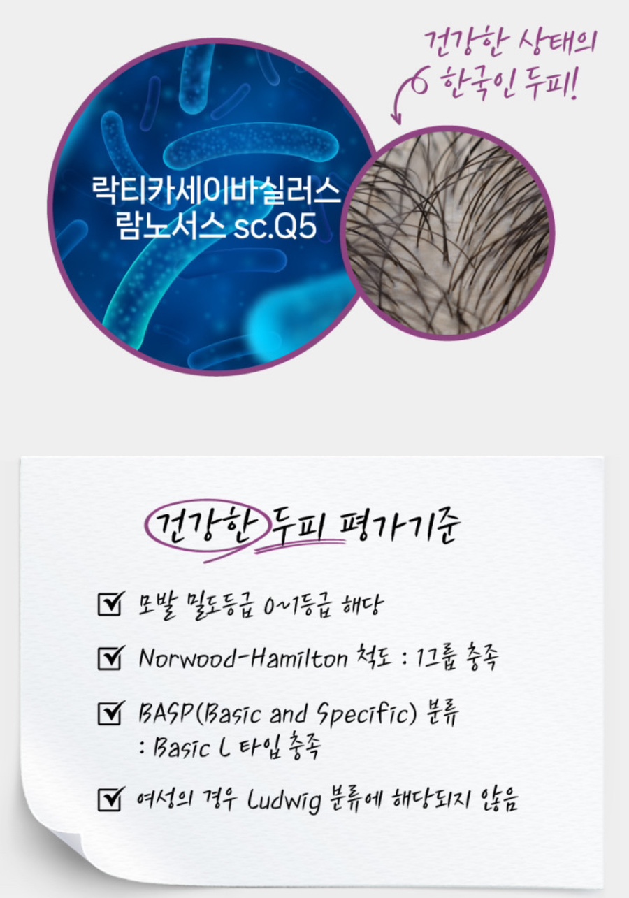 에스씨큐 이미지