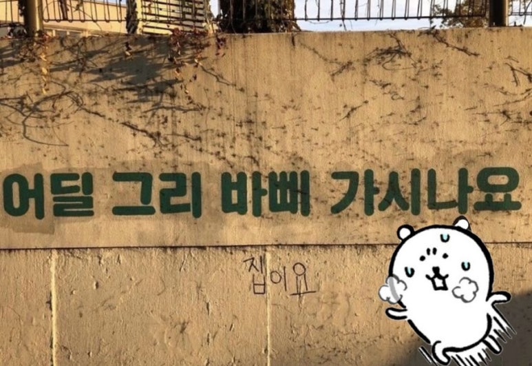 초하루미 이미지