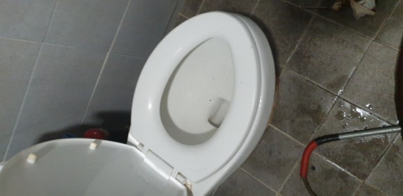 변기막힘 이미지